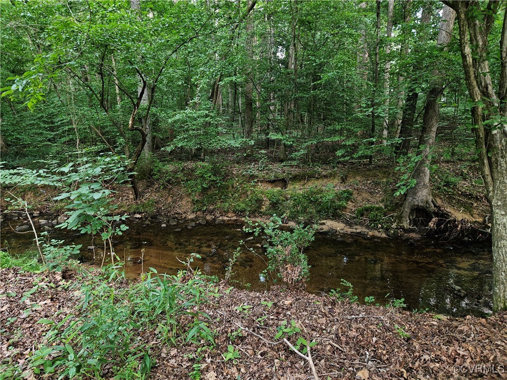 7106 Full Rack Drive Midlothian, VA 23112 - Photo 26 of 26 a view of a lake with large trees