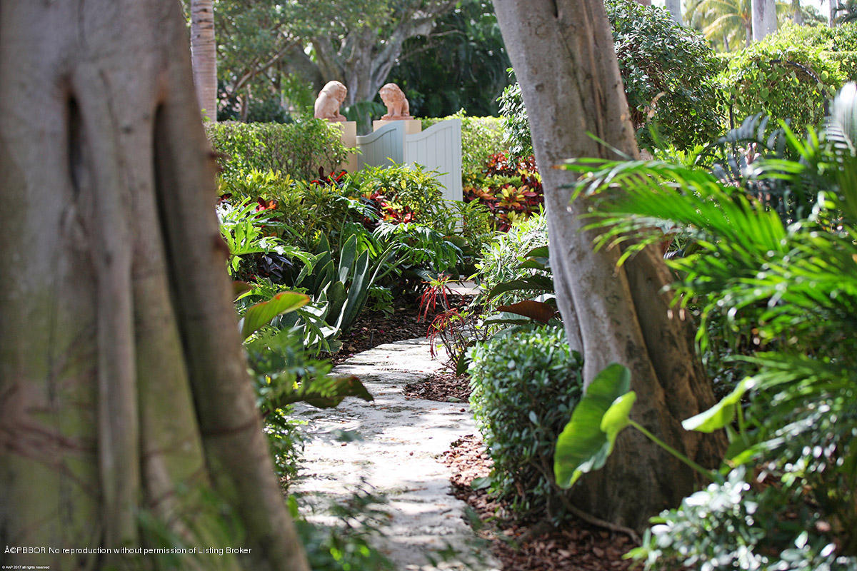 1 Golfview Road Palm Beach, FL 33480 - Photo 36 of 38 a plant that is in a garden