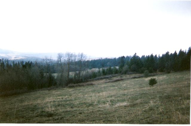0 Old Dominion Road Colville, WA 99114 - Photo 1 of 1