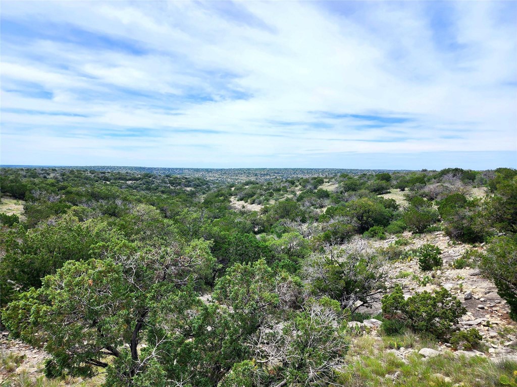Tbd Tbd Peck Road Comstock, TX 78837 - Photo 14 of 21