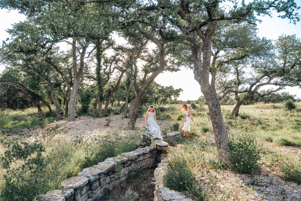 17650 Hamilton Pool Road Austin, TX 78738 - Photo 11 of 26 a view of a forest filled with trees