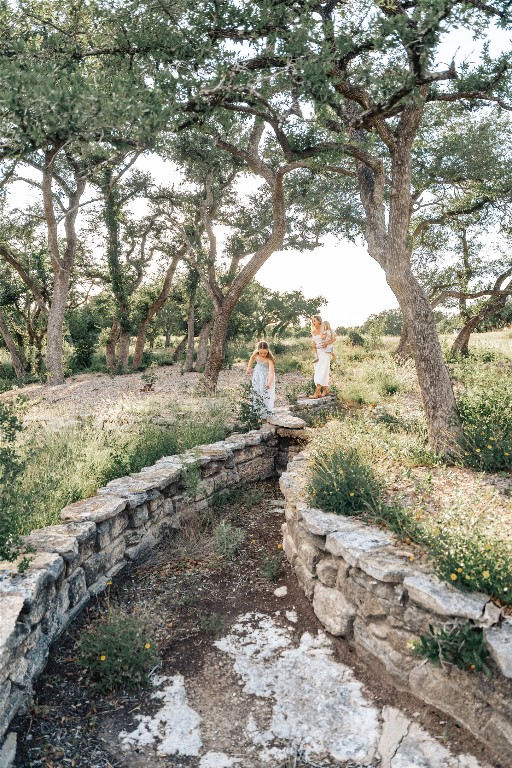 17650 Hamilton Pool Road Austin, TX 78738 - Photo 12 of 26 a view of a yard with plants and trees