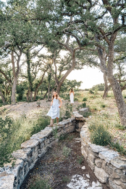17650 Hamilton Pool Road Austin, TX 78738 - Photo 13 of 26 a view of a yard with an trees