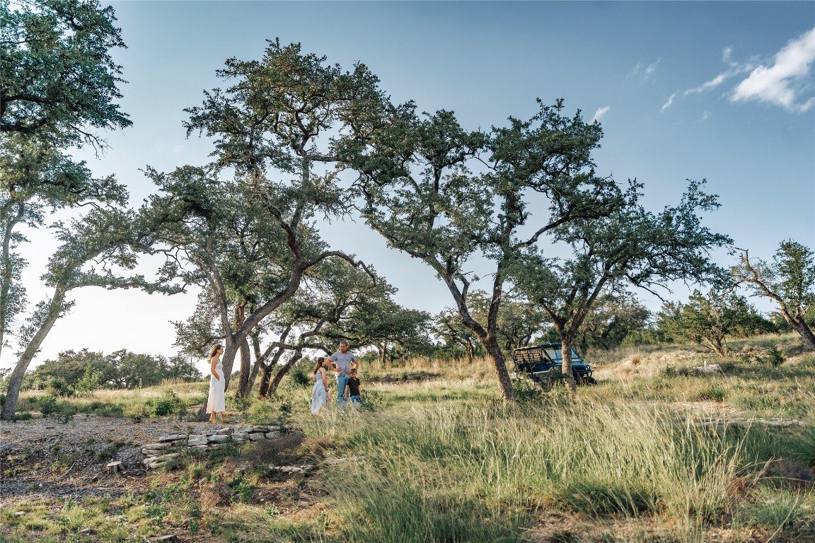 17650 Hamilton Pool Road Austin, TX 78738 - Photo 15 of 26 a view of a garden