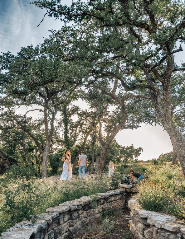 17650 Hamilton Pool Road Austin, TX 78738 - Photo 16 of 26 a view of a trees