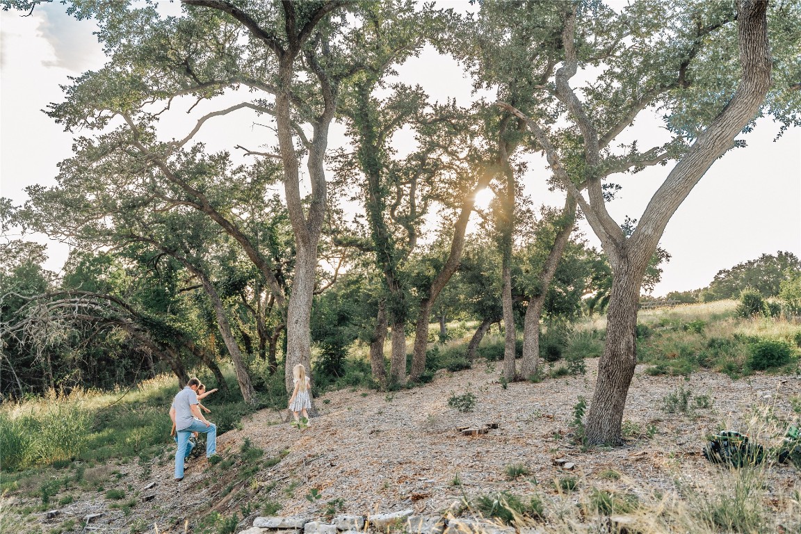 17650 Hamilton Pool Road Austin, TX 78738 - Photo 17 of 26 a view of a forest with trees