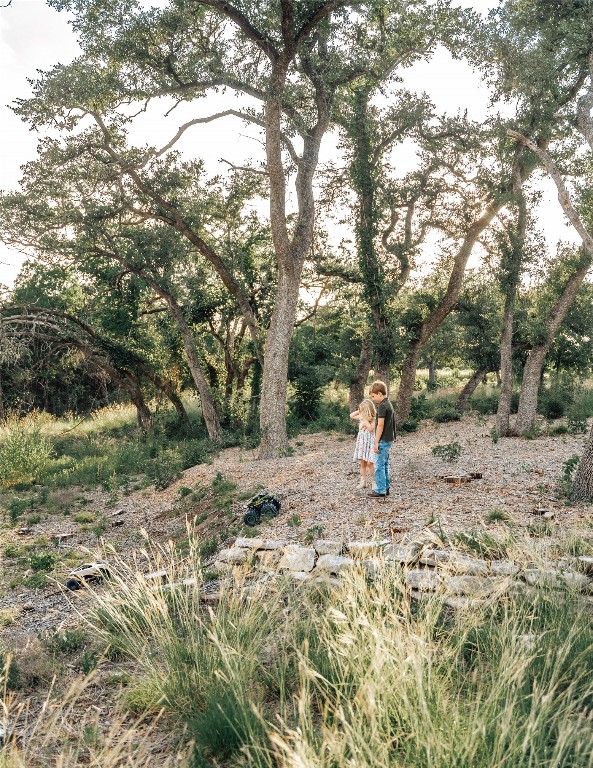 17650 Hamilton Pool Road Austin, TX 78738 - Photo 18 of 26 a view of outdoor space with trees