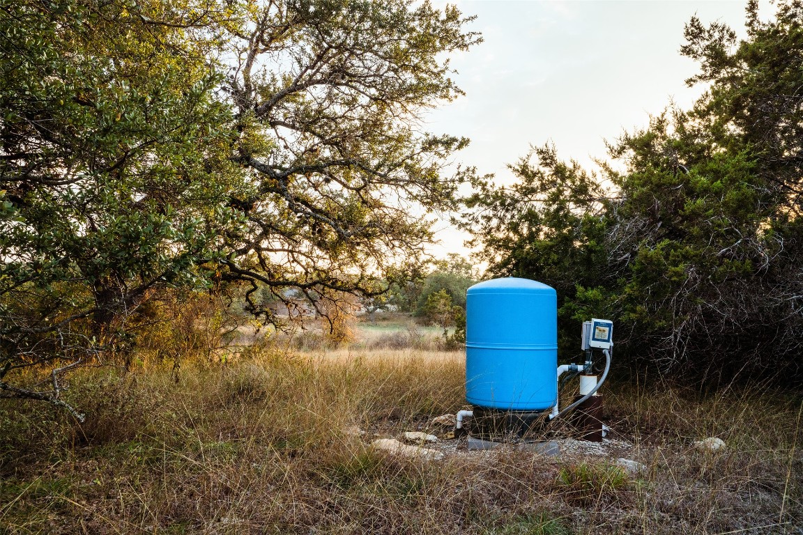 17650 Hamilton Pool Road Austin, TX 78738 - Photo 23 of 26 a view of a garden with a small tree