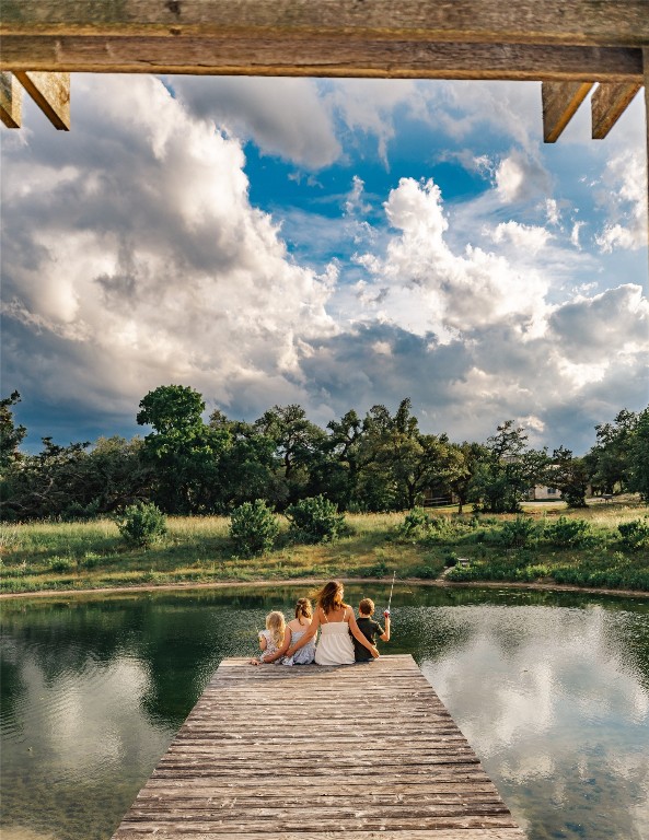 17650 Hamilton Pool Road Austin, TX 78738 - Photo 4 of 26 a view of a lake with a yard
