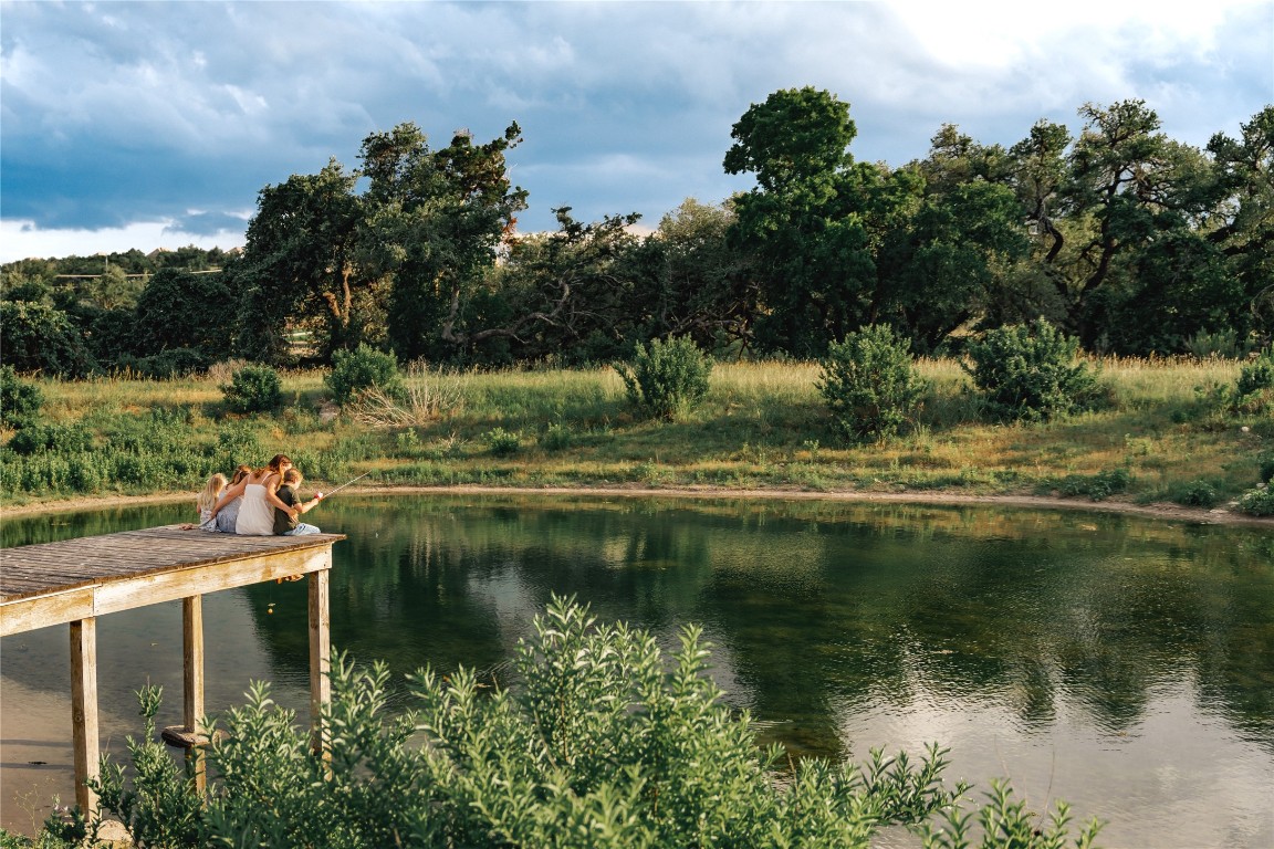 17650 Hamilton Pool Road Austin, TX 78738 - Photo 6 of 26 a view of lake with green space