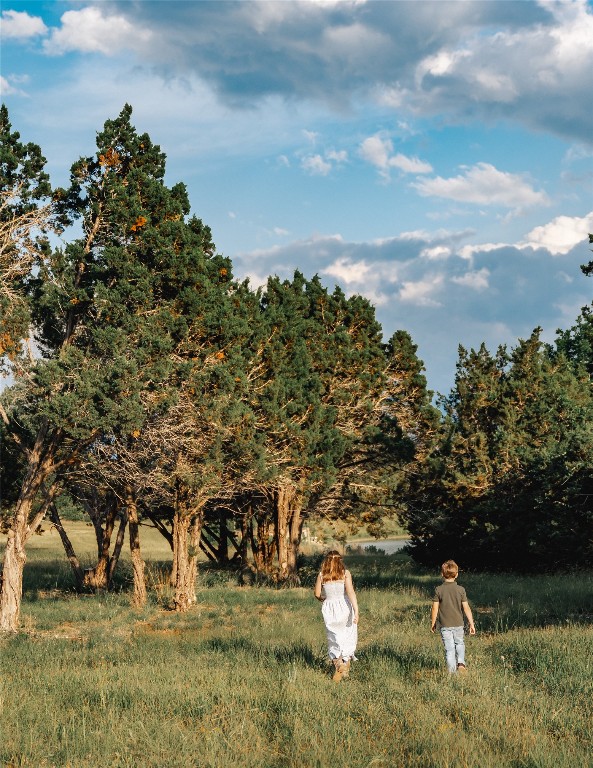 17650 Hamilton Pool Road Austin, TX 78738 - Photo 10 of 26 a view of fountain in the backyard of a house