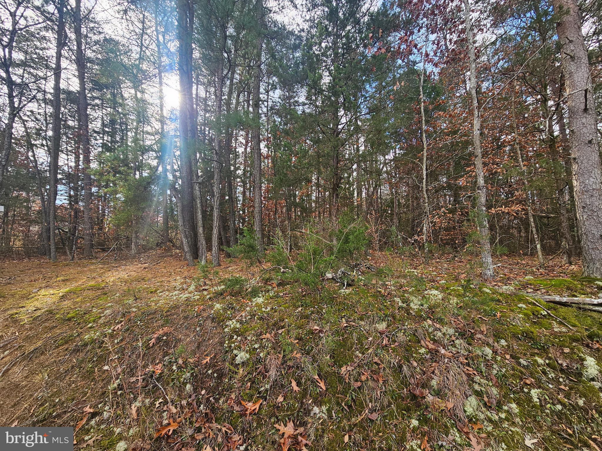 Ruby Road Woodford, VA 22580 - Photo 1 of 7 Gallery Image 1