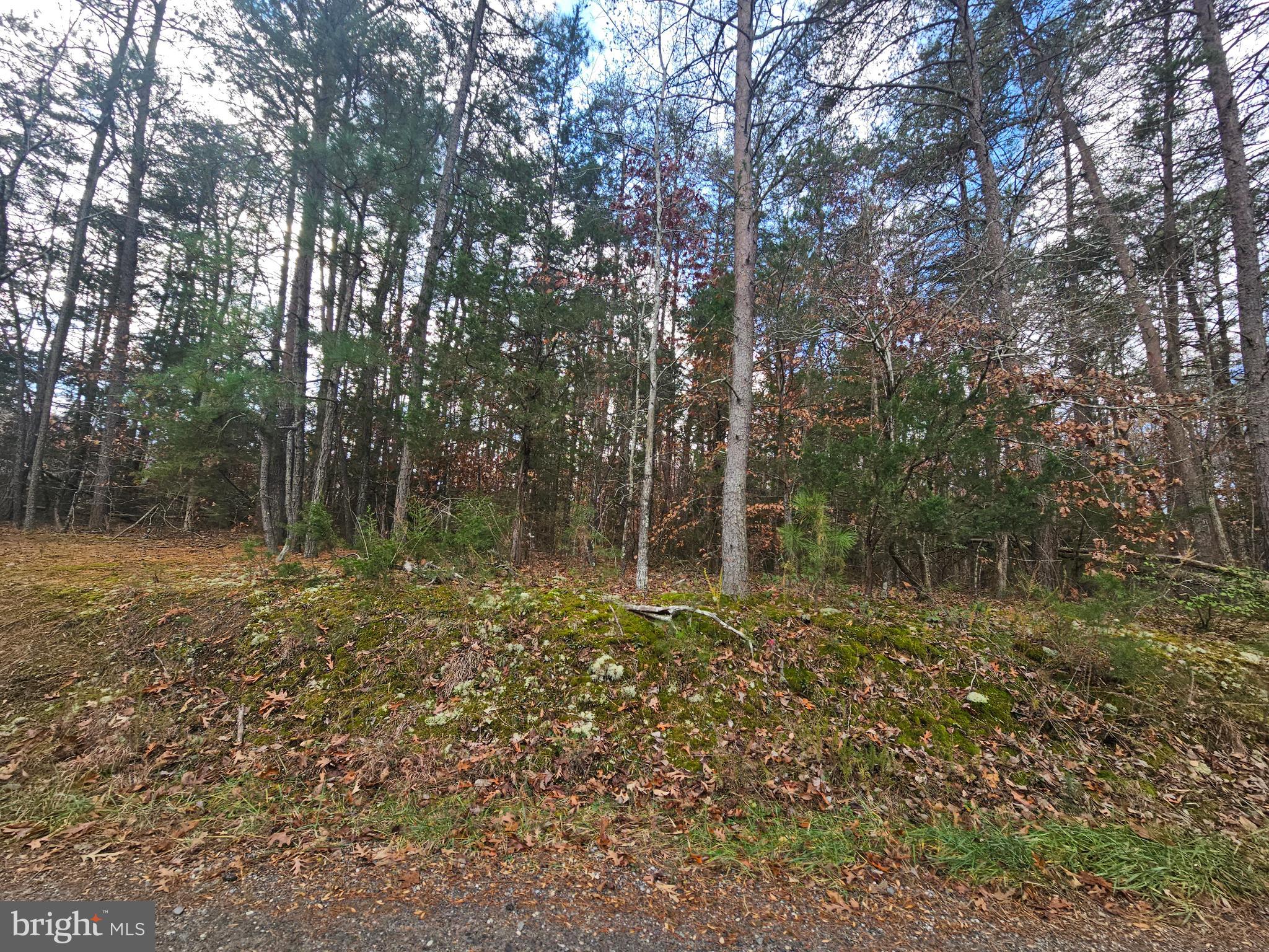Ruby Road Woodford, VA 22580 - Photo 7 of 7 Gallery Image 7