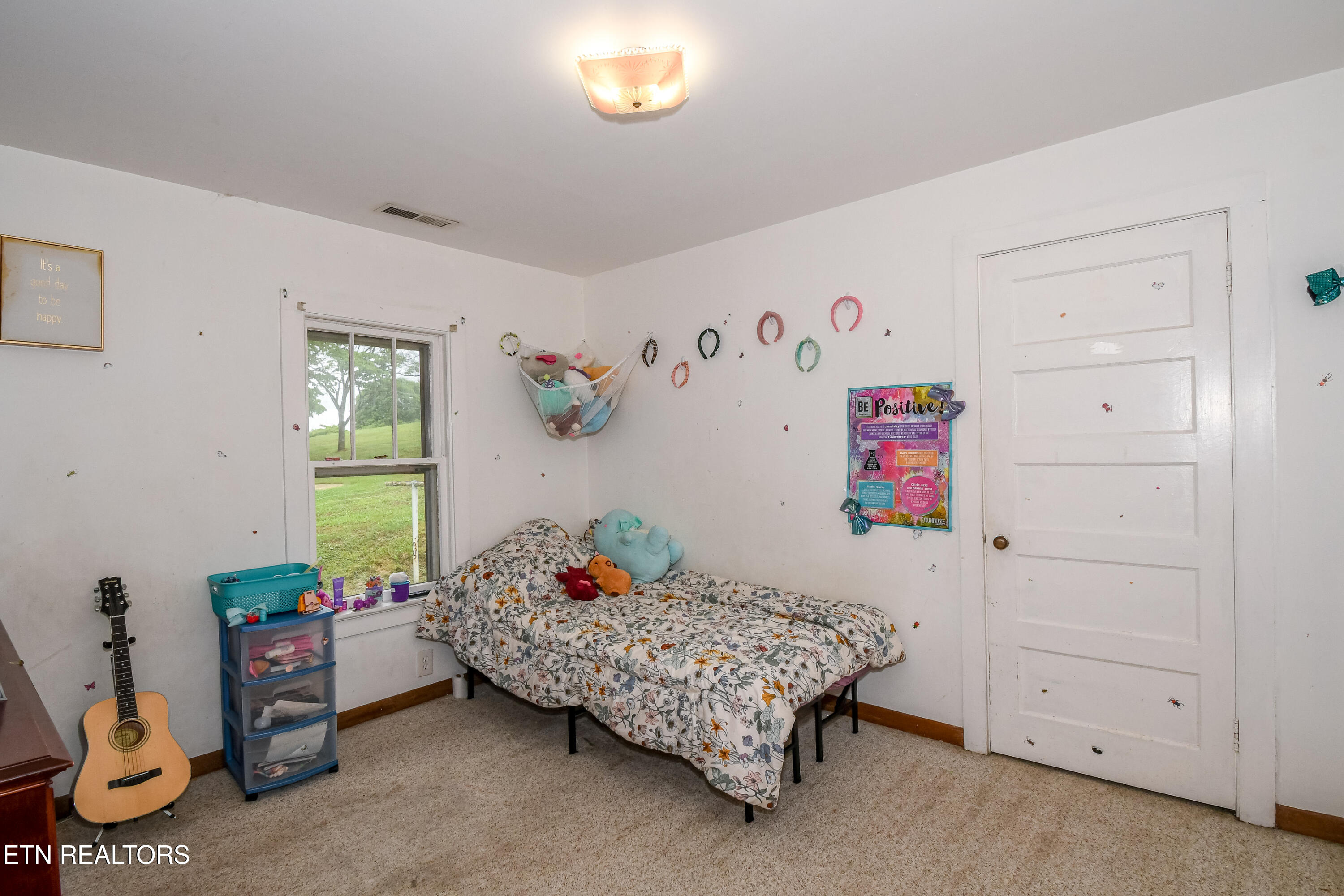 185 Trigonia Road Greenback, TN 37742 - Photo 7 of 22 DSC_6603