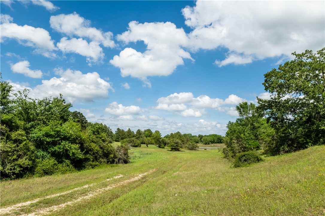 2199 Navasota Ridge Navasota, TX 77868 - Photo 19 of 30
