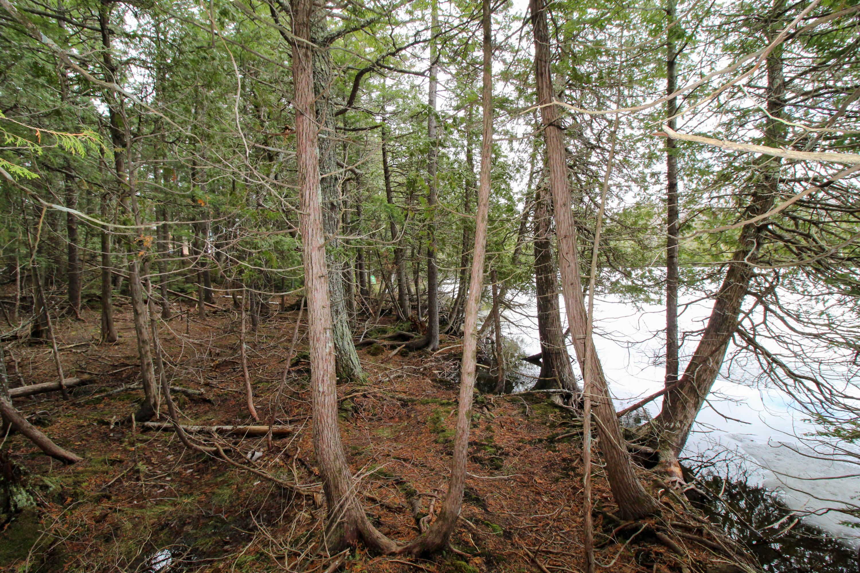 Lot 18 Pullyard Road Sangerville, ME 04479 - Photo 17 of 24 Trails
