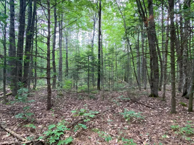 $89,500 | Lot#17 Guilford Center Road, Guilford, ME 04443