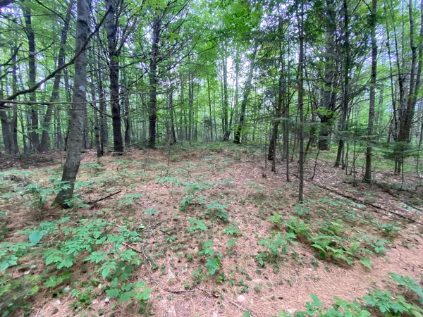 $89,500 | Lot#17 Guilford Center Road, Guilford, ME 04443