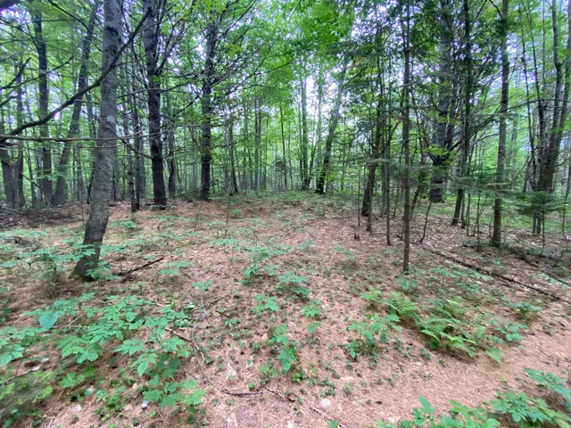 $89,500 | Lot#17 Guilford Center Road, Guilford, ME 04443