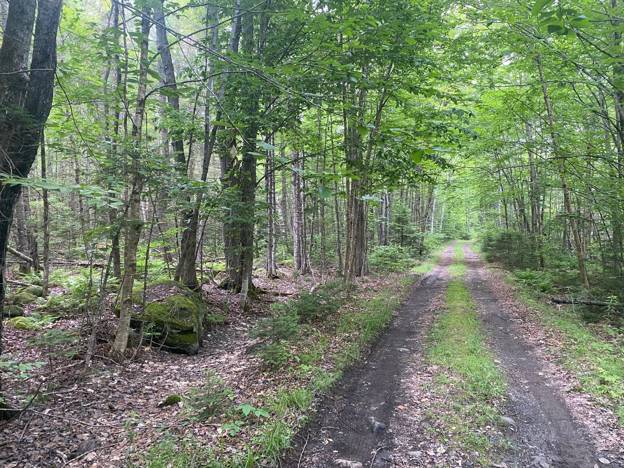 Lot#17 Guilford Center Road Guilford, ME 04443 - Photo 17 of 20 IMG_3297