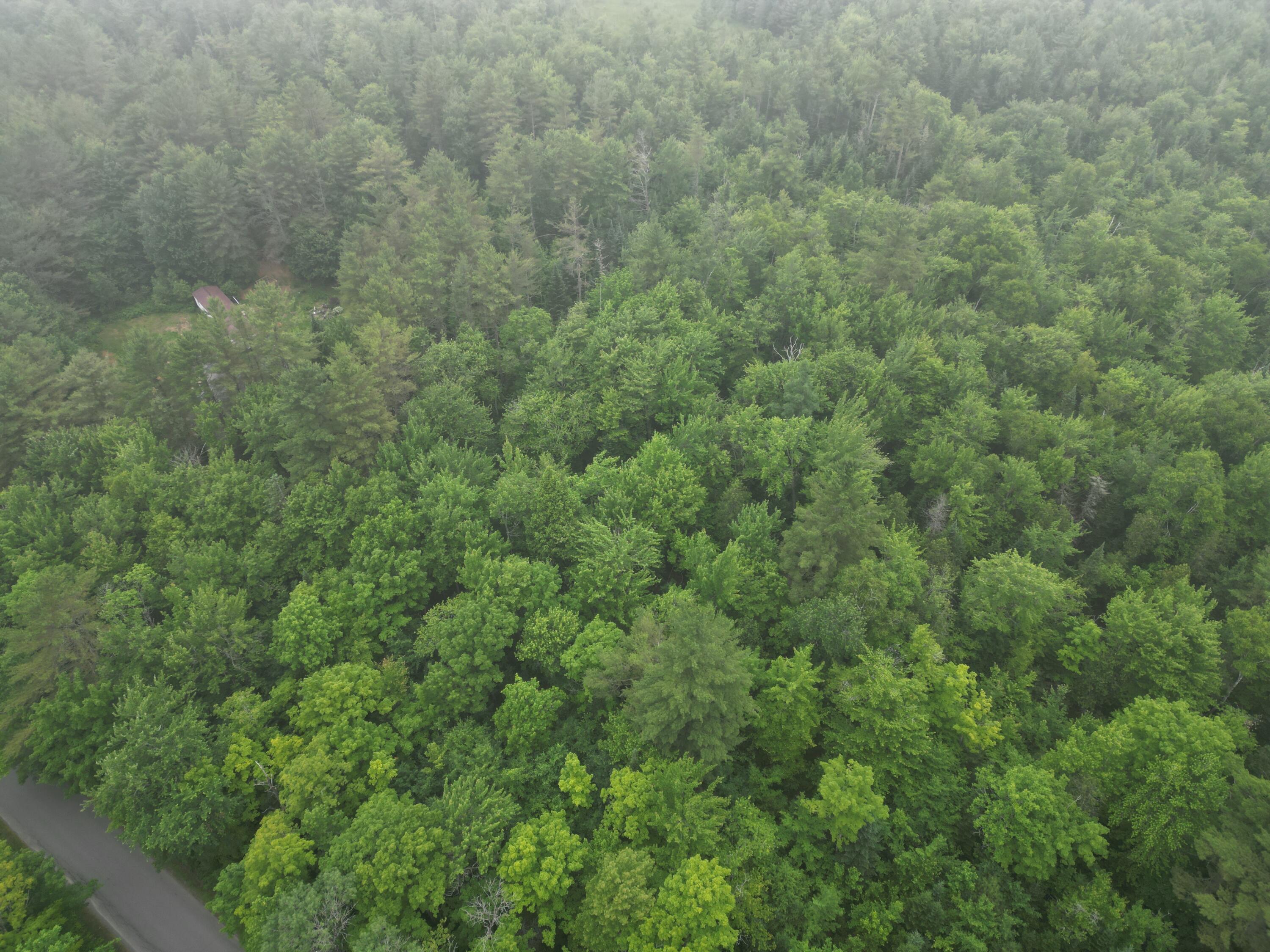 Lot#17 Guilford Center Road Guilford, ME 04443 - Photo 20 of 20 DJI_0442