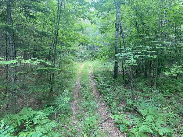 $89,500 | Lot#17 Guilford Center Road, Guilford, ME 04443