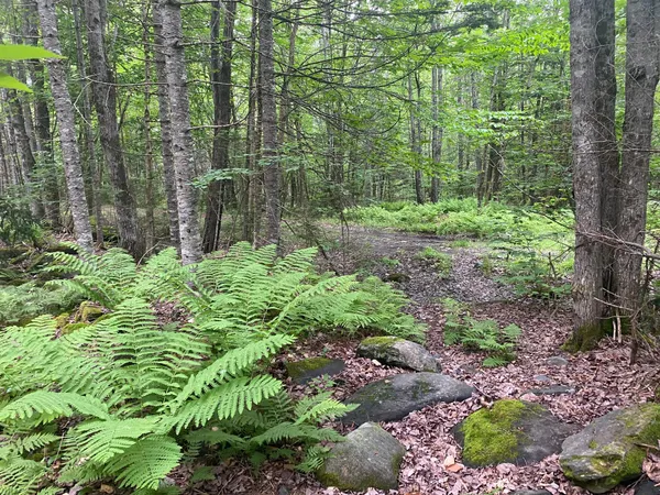 $89,500 | Lot#17 Guilford Center Road, Guilford, ME 04443