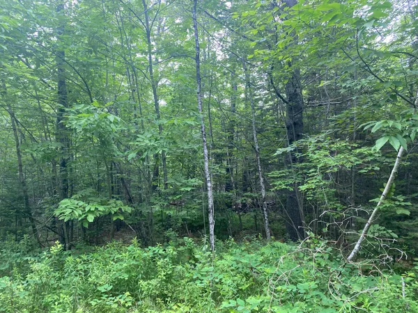 $89,500 | Lot#17 Guilford Center Road, Guilford, ME 04443