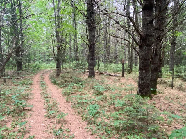 $89,500 | Lot#17 Guilford Center Road, Guilford, ME 04443