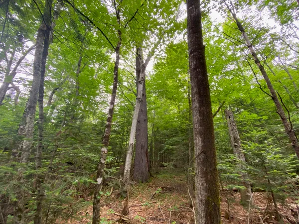 $89,500 | Lot#17 Guilford Center Road, Guilford, ME 04443