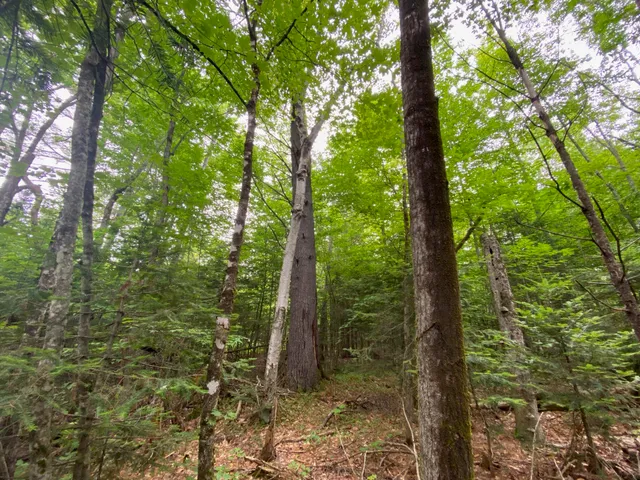 $89,500 | Lot#17 Guilford Center Road, Guilford, ME 04443