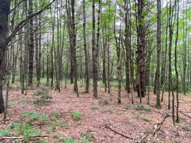 $89,500 | Lot#17 Guilford Center Road, Guilford, ME 04443