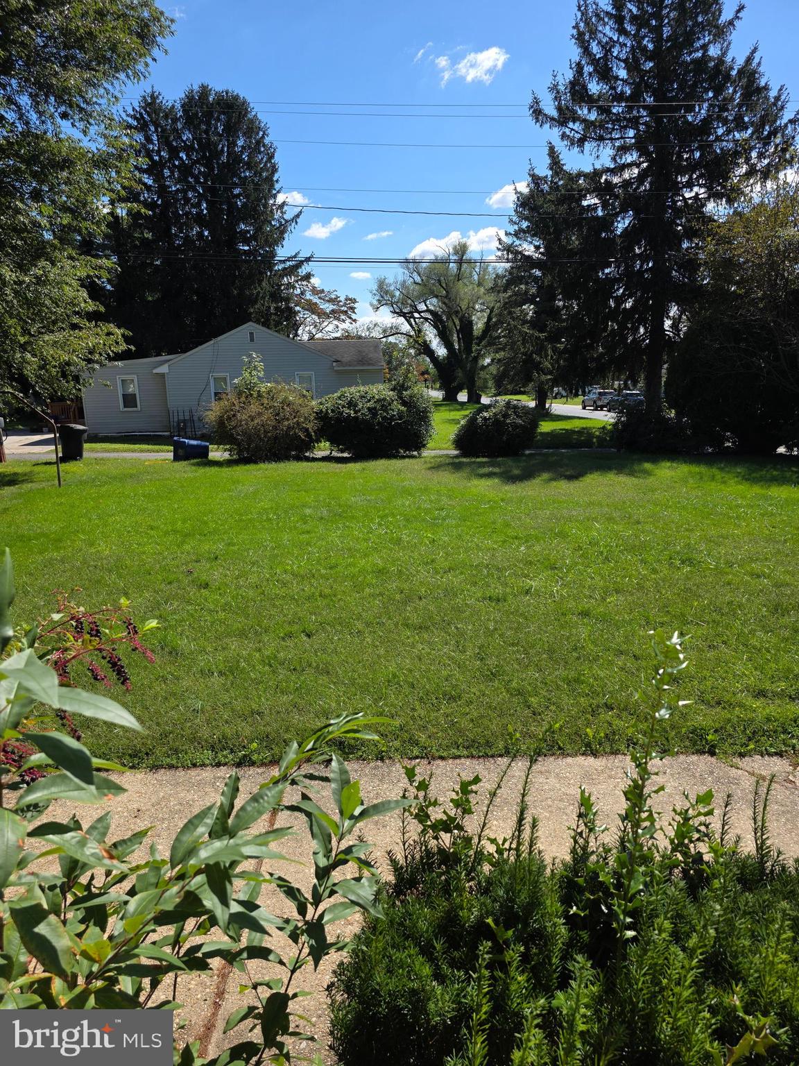 706 East Division Street Dover, DE 19901 - Photo 5 of 16 a view of yard with green space