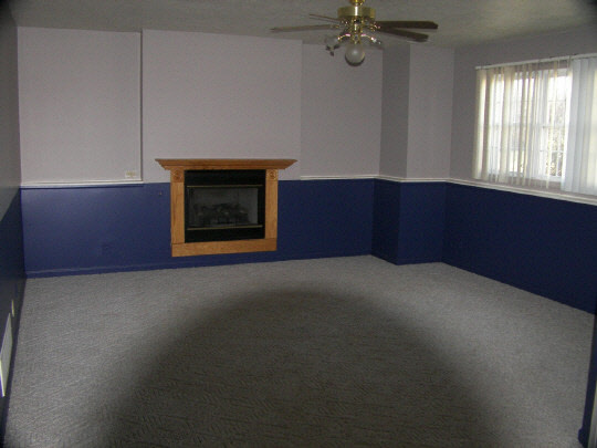 16843 Hartman Road Davis, IL 61019 - Photo 4 of 6 an empty room with windows and fireplace