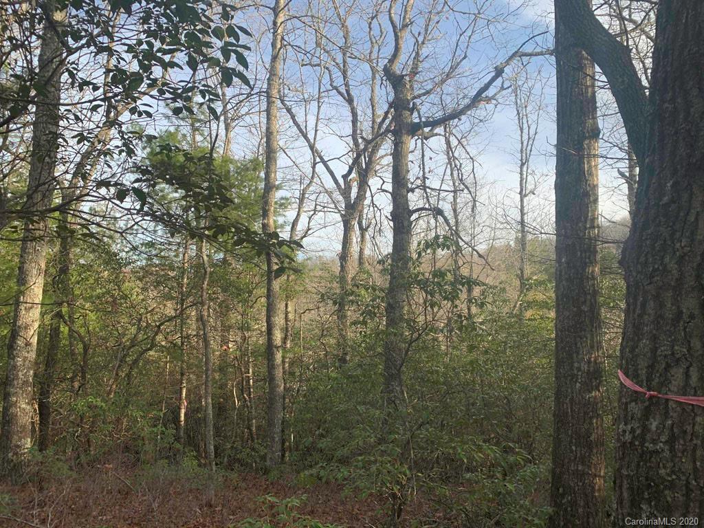 10 Ferndale Road, Unit 10 Pisgah Forest, NC 28768 - Photo 2 of 8
