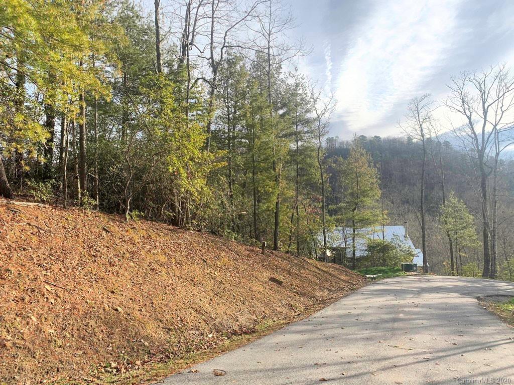 10 Ferndale Road, Unit 10 Pisgah Forest, NC 28768 - Photo 3 of 8
