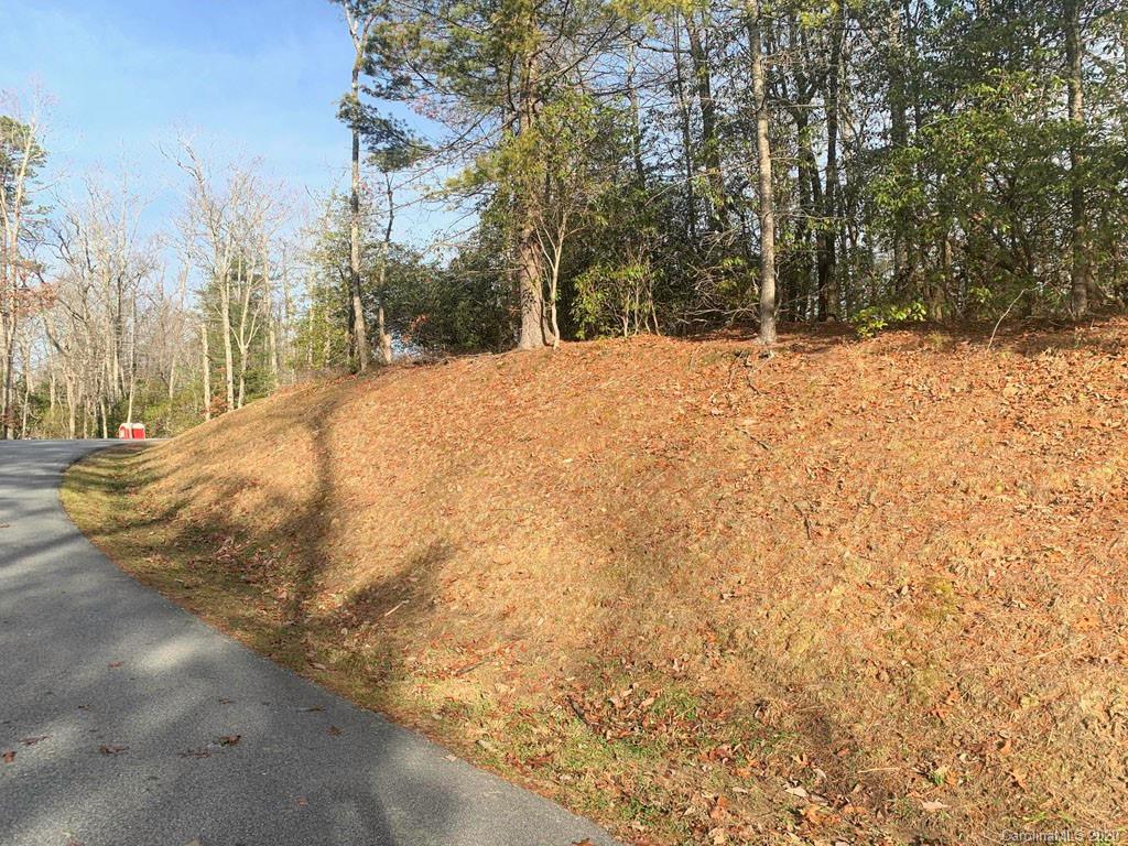 10 Ferndale Road, Unit 10 Pisgah Forest, NC 28768 - Photo 5 of 8