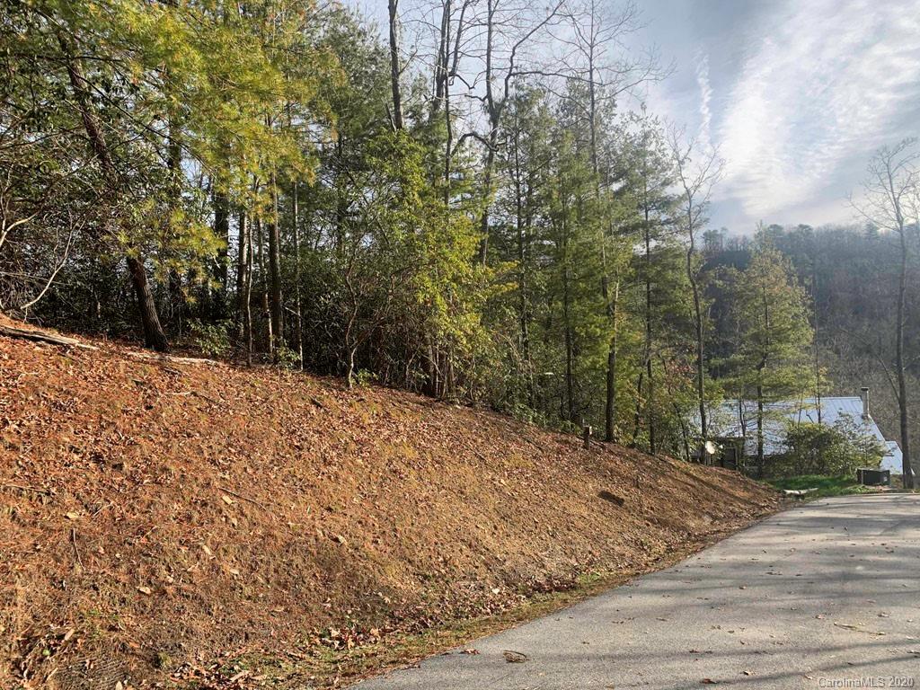 10 Ferndale Road, Unit 10 Pisgah Forest, NC 28768 - Photo 8 of 8