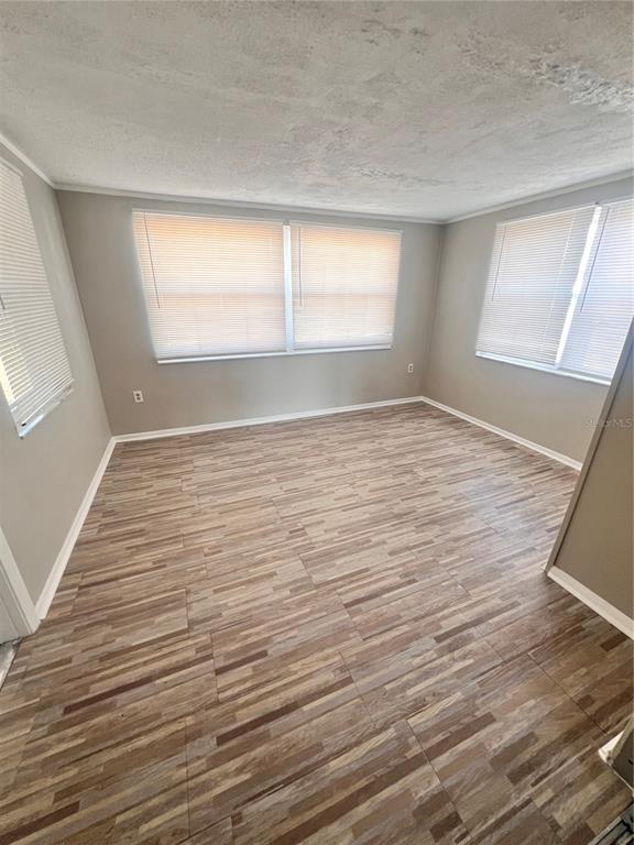 9910 Lake Chrise Lane Port Richey, FL 34668 - Photo 9 of 13