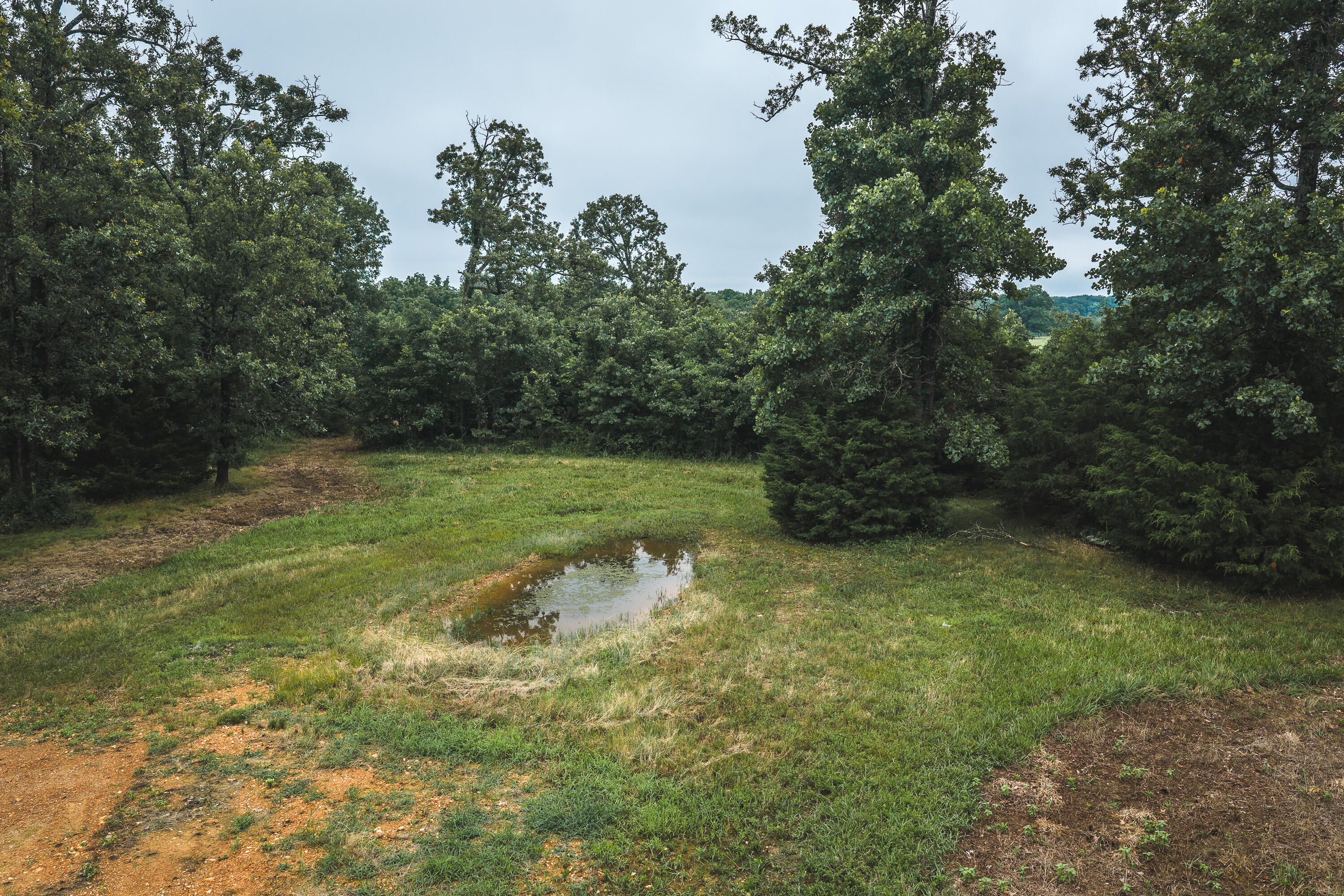1569 Spider K Road Anderson, MO 64831 - Photo 59 of 66 DJI_20260622140834_0471_D