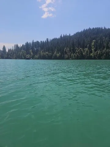 a view of a room with wooden floor and a fireplace