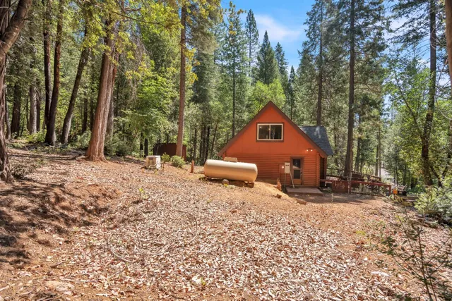 a view of a backyard with trees