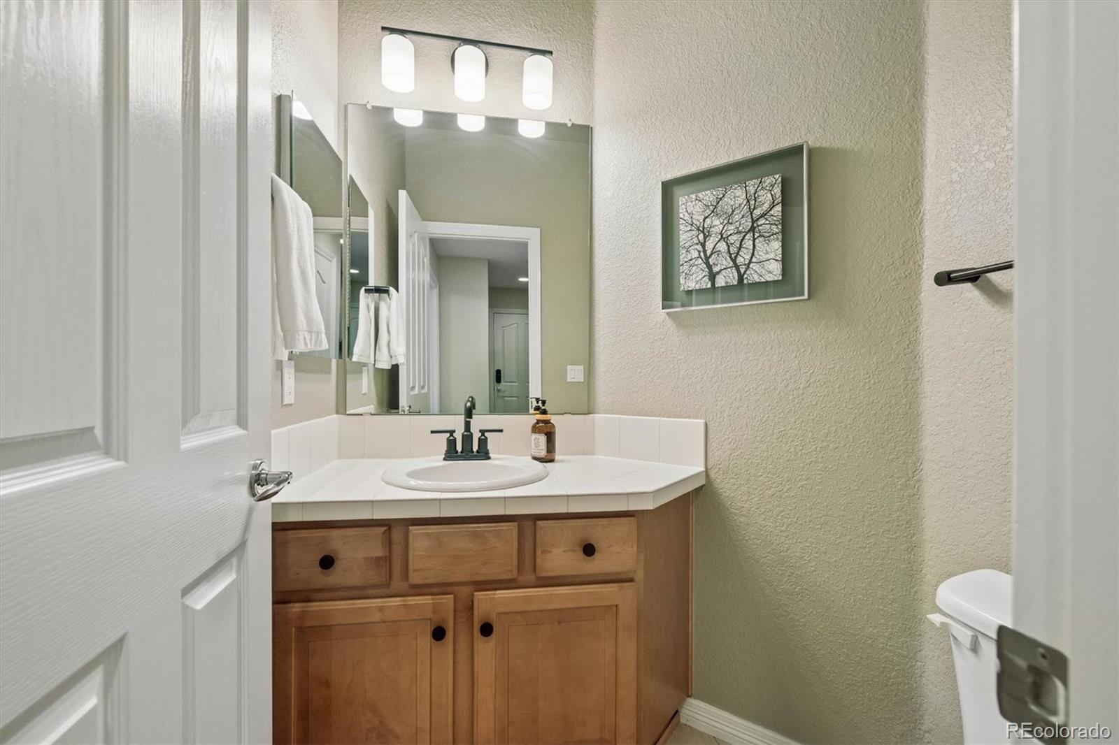 2677 Pemberly Avenue Highlands Ranch, CO 80126 - Photo 22 of 50 a bathroom with a sink vanity and a mirror