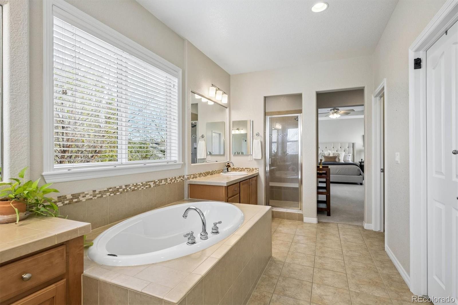 2677 Pemberly Avenue Highlands Ranch, CO 80126 - Photo 28 of 50 a bathroom with a bathtub and a sink