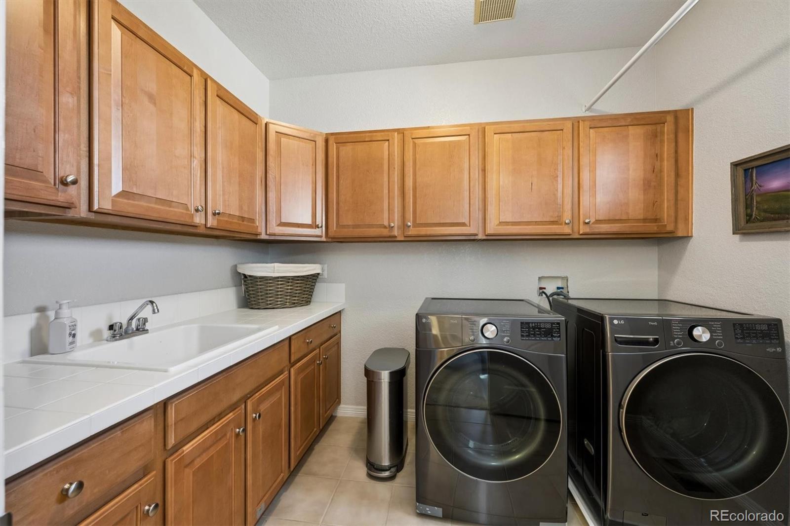 2677 Pemberly Avenue Highlands Ranch, CO 80126 - Photo 33 of 50 a utility room with sink dryer and washer