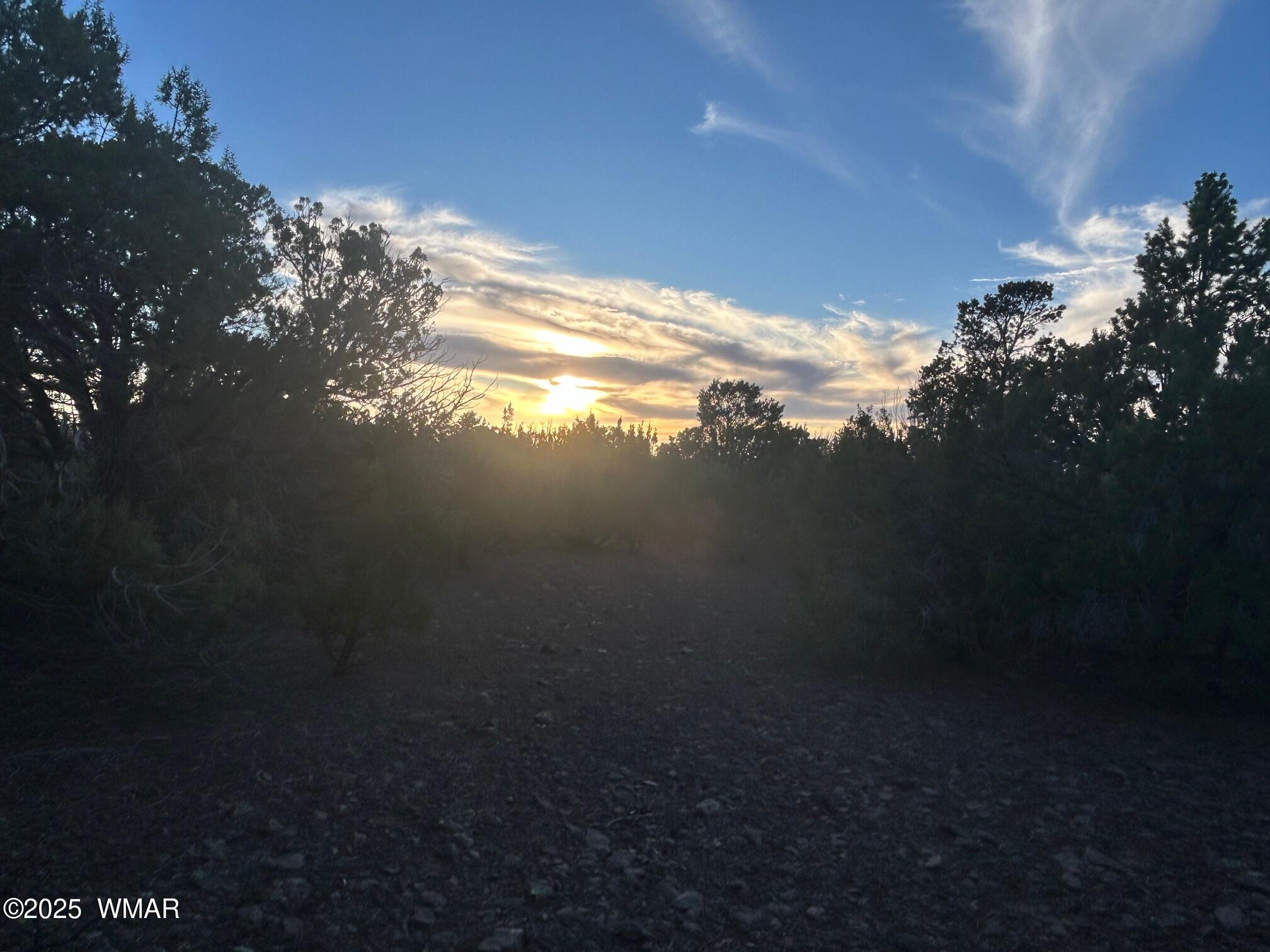Lot 33 Ridgeview Concho, AZ 85924 - Photo 12 of 19 IMG_3547