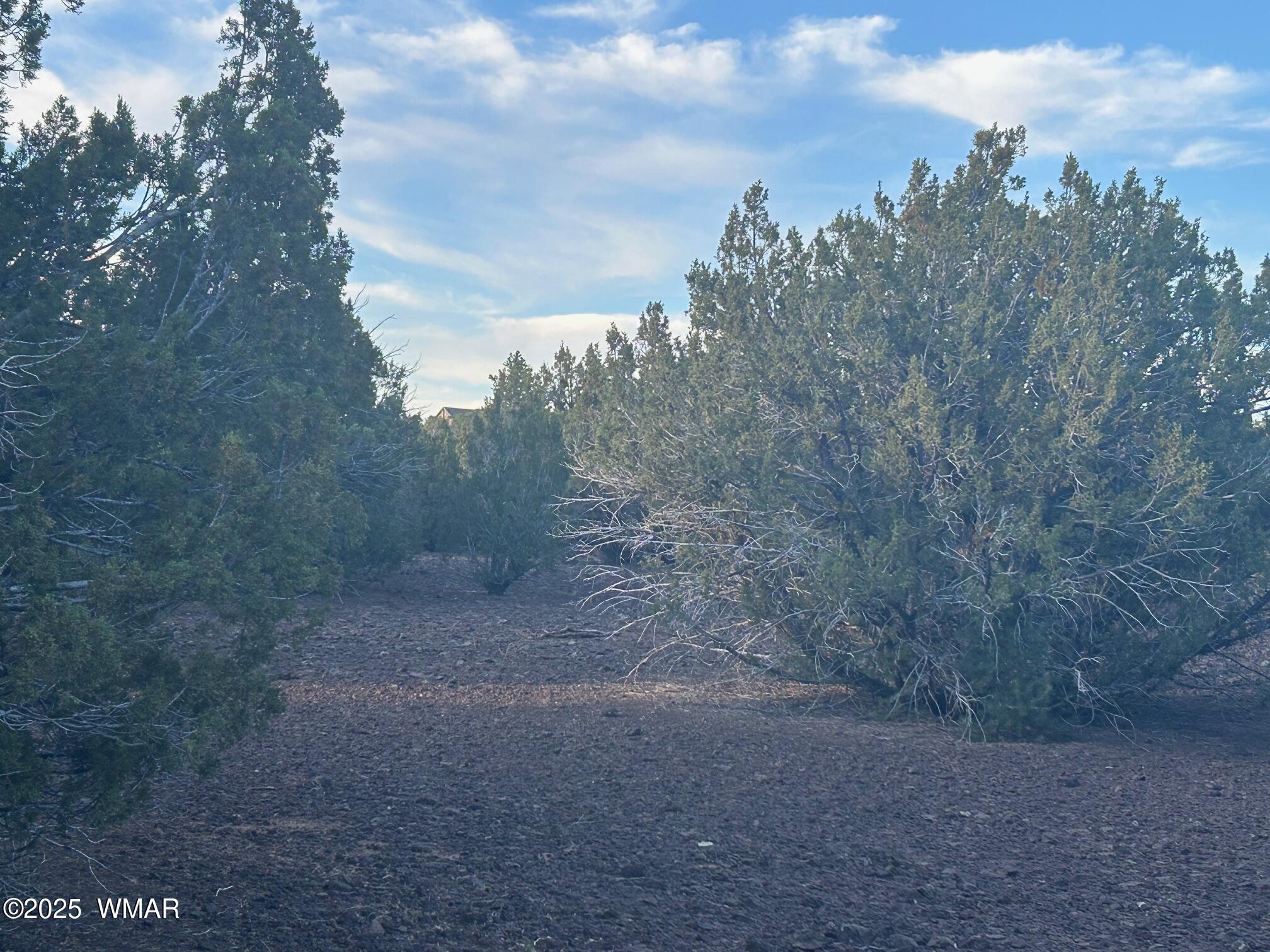 Lot 33 Ridgeview Concho, AZ 85924 - Photo 7 of 19 IMG_3536