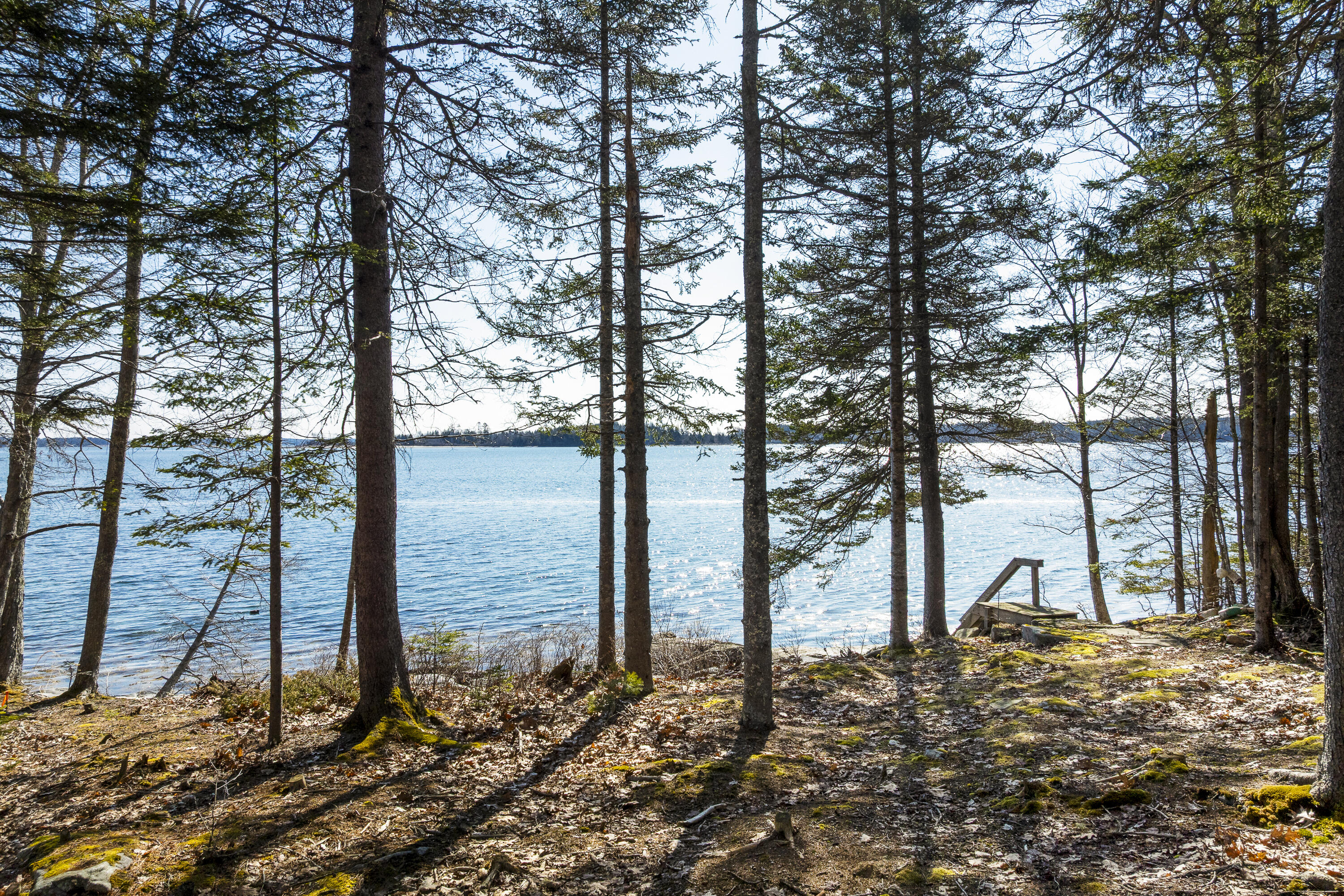 153 Back Shore Road Bristol, ME 04564 - Photo 81 of 95 91-153 Back Shore Rd, Round Pond, ME-TP