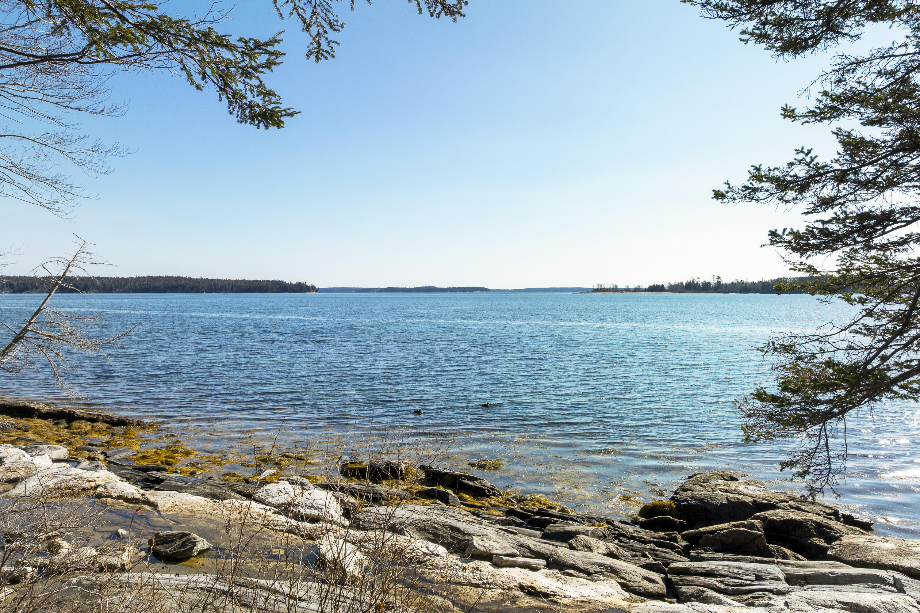 153 Back Shore Road Bristol, ME 04564 - Photo 82 of 95 92-153 Back Shore Rd, Round Pond, ME-TP
