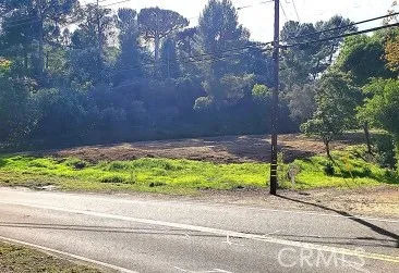 a backyard of a house with a yard and potted plants